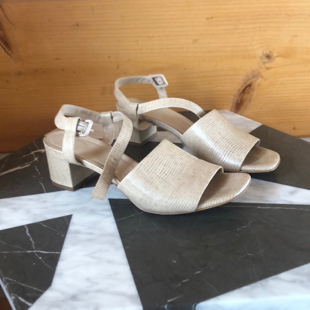 Everlane sandals